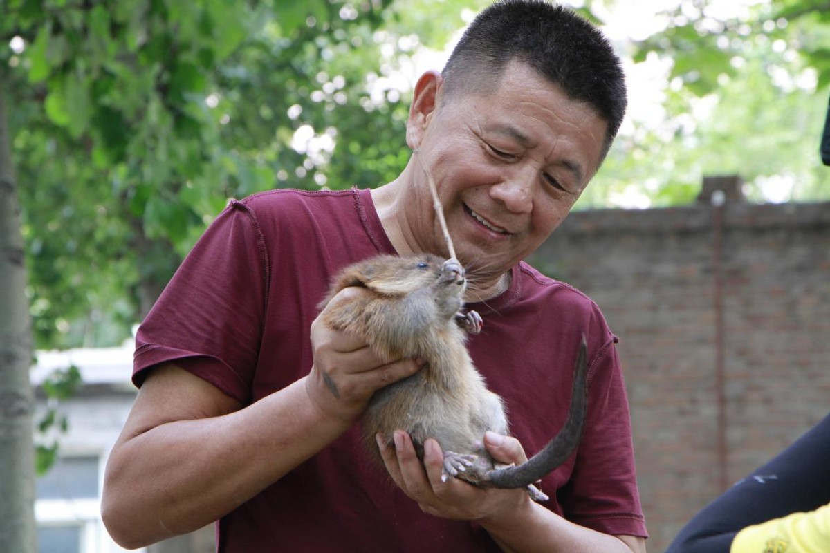 1992年，河北男子花30万买两只病鼠，几年后反而大赚8000万