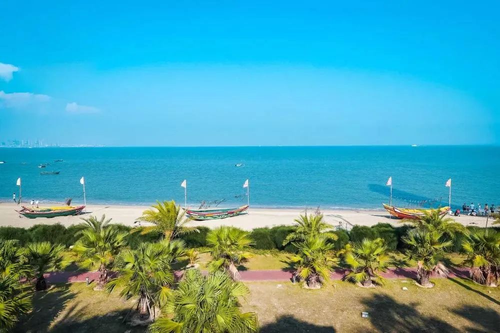 香港新晋的明星,现身厦门的香港明星