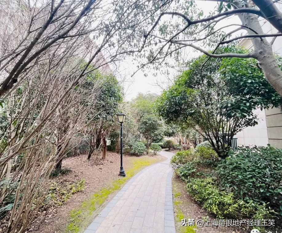 大华伊斐墅多少钱一平,大华伊斐墅小区平面图