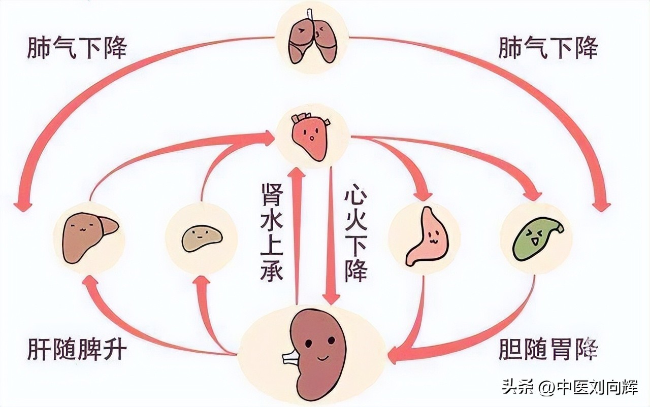 脾湿小便少怎么办,脾湿热大便干燥怎么办