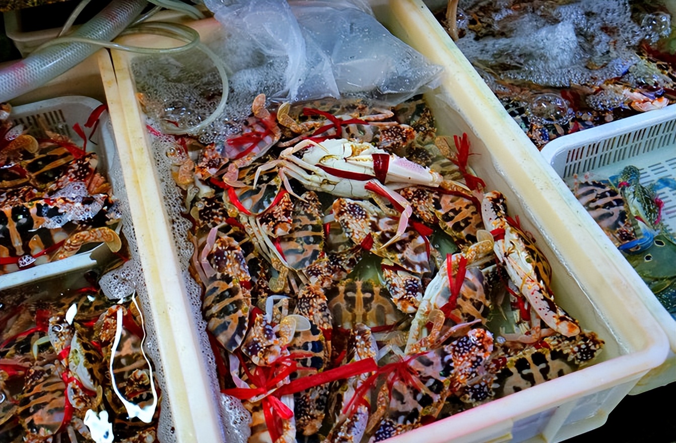 三亚美食博主买海鲜,博主三亚买3888海鲜