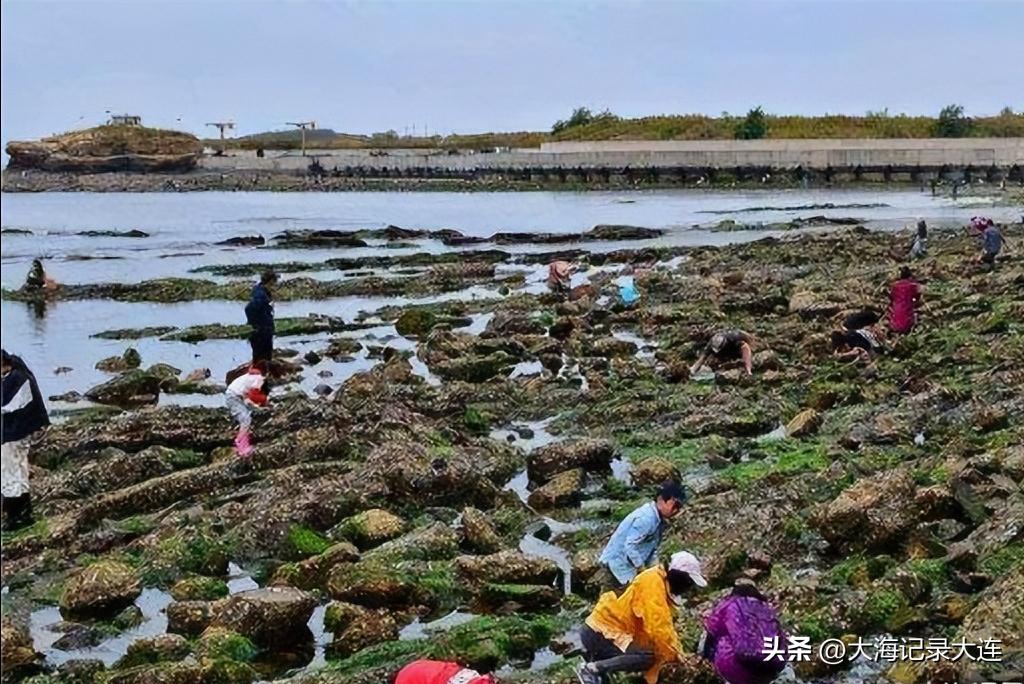 大连七贤岭公园的隐藏海滩,大连七贤岭公园攻略