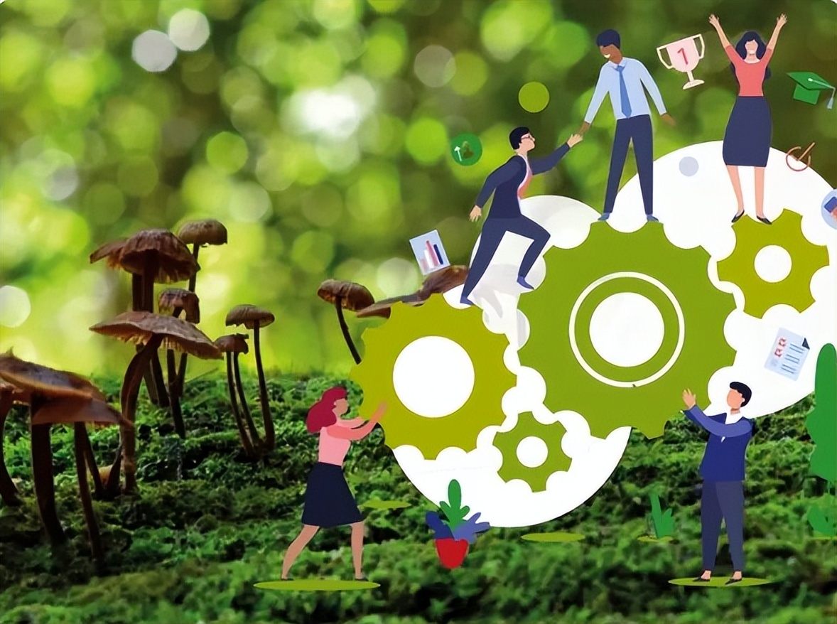 碳循万物•绿知未来|2023生物多样性创业夏令营，等你来探索！