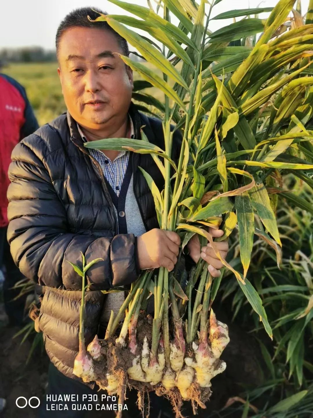 “邯郸民企之星”——磁县华威养殖有限公司董事长李研军