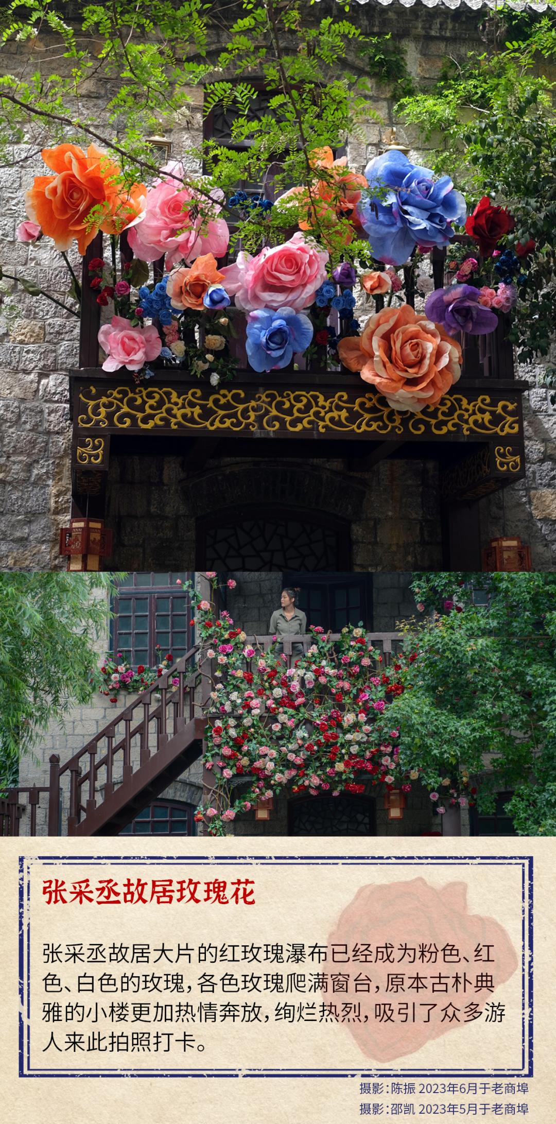 济南最浪漫的路,济南最浪漫的一条街