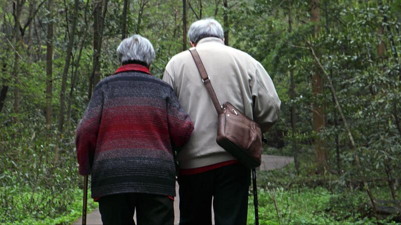 网友的这个提问，令我再次走向彩票店