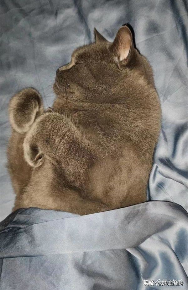 真丝床单起球正常吗,真丝床品铺着好看吗