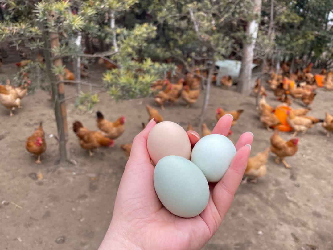 种植业什么最赚钱农村,农村种植创业成功的方法有哪些