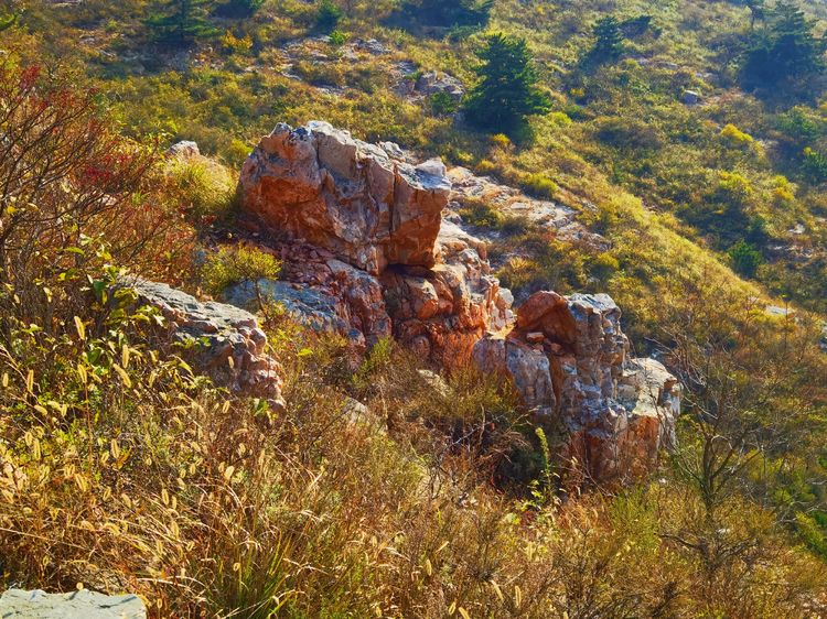 旅顺城山,旅顺城山怎么绕过去