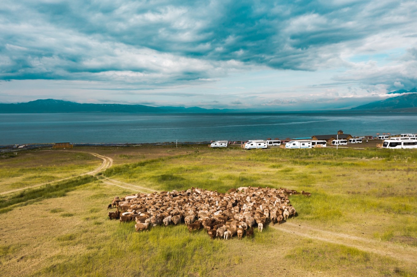 新疆伊犁之美,走了一圈才发现世界万物远不及你