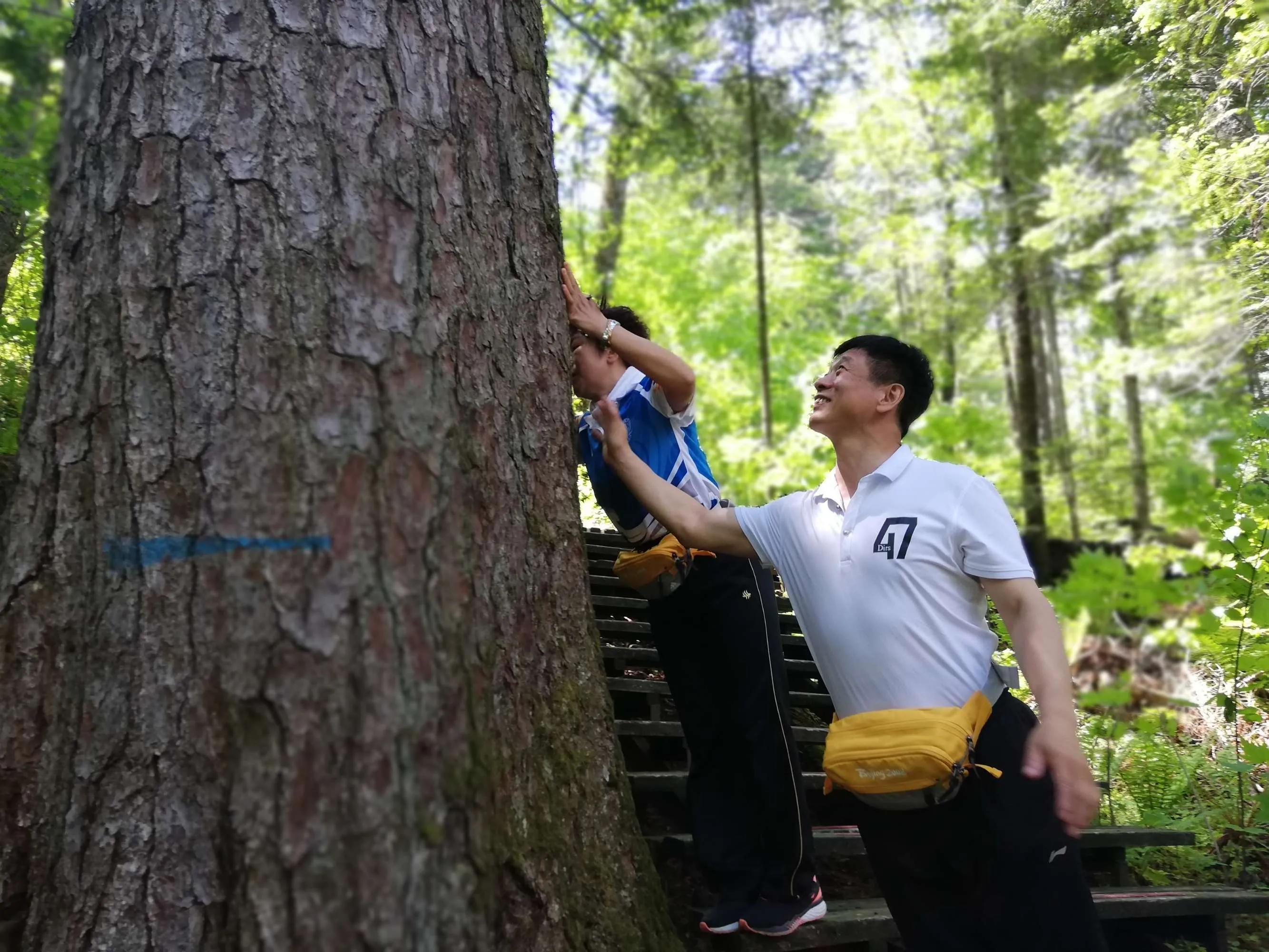 妈妈顶子山---母亲山