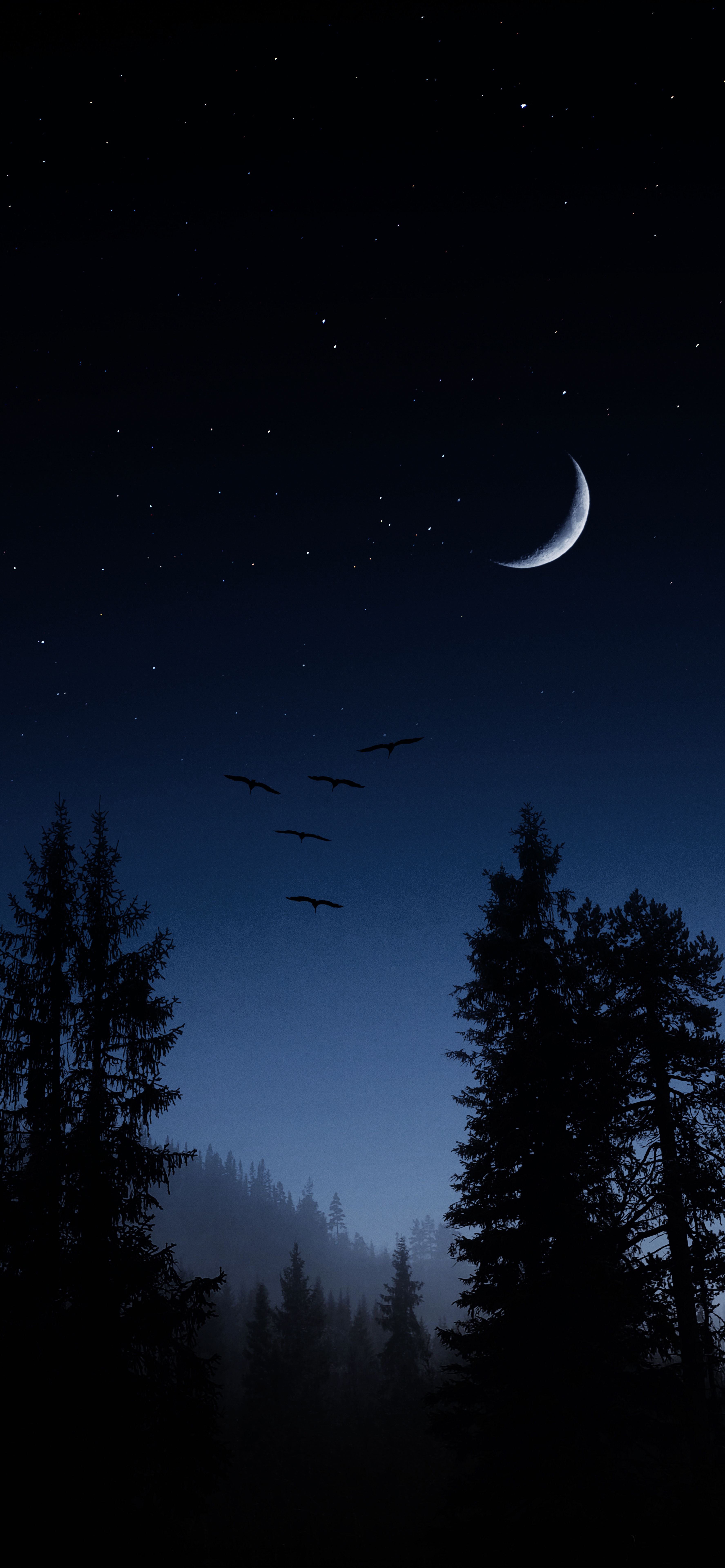 深色好看壁纸男生专用,男士深色手机壁纸高清