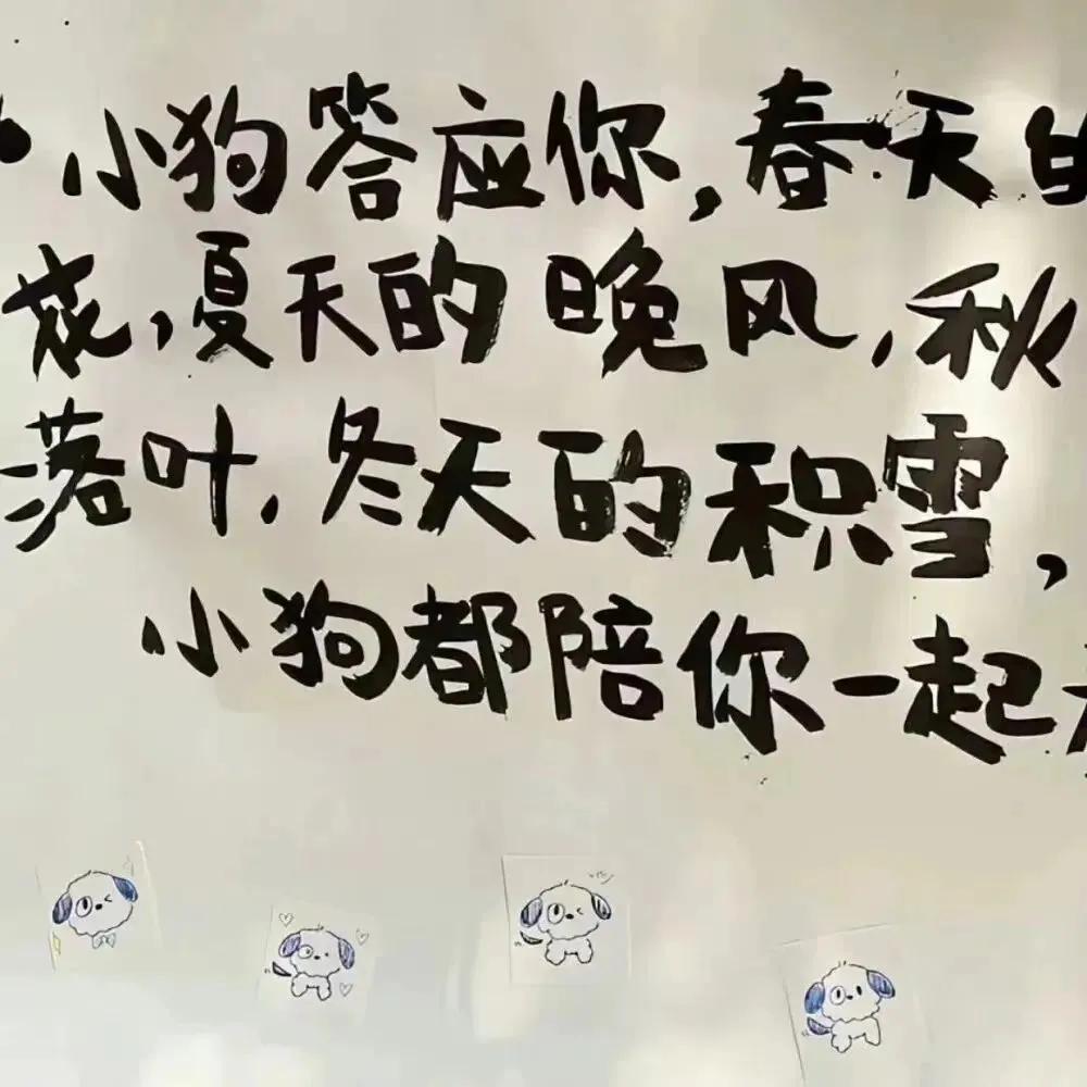 朋友圈相册封面图片,微信朋友圈封面视频