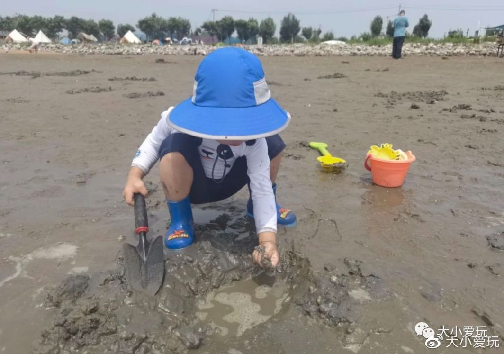 带娃赶海地点推荐去哪里,带孩子海边赶海3日游攻略