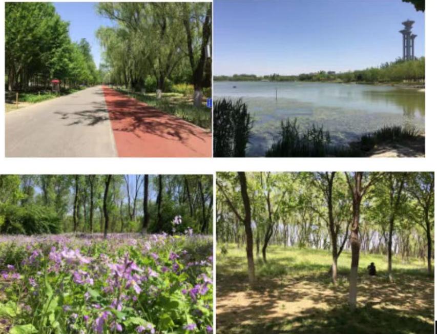 女儿即将结婚父母拿出嫁妆,我结婚爸妈没有给一分钱嫁妆