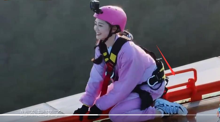 郑钧评价苗苗扮猪吃老虎,苗苗评价郑钧刘芸