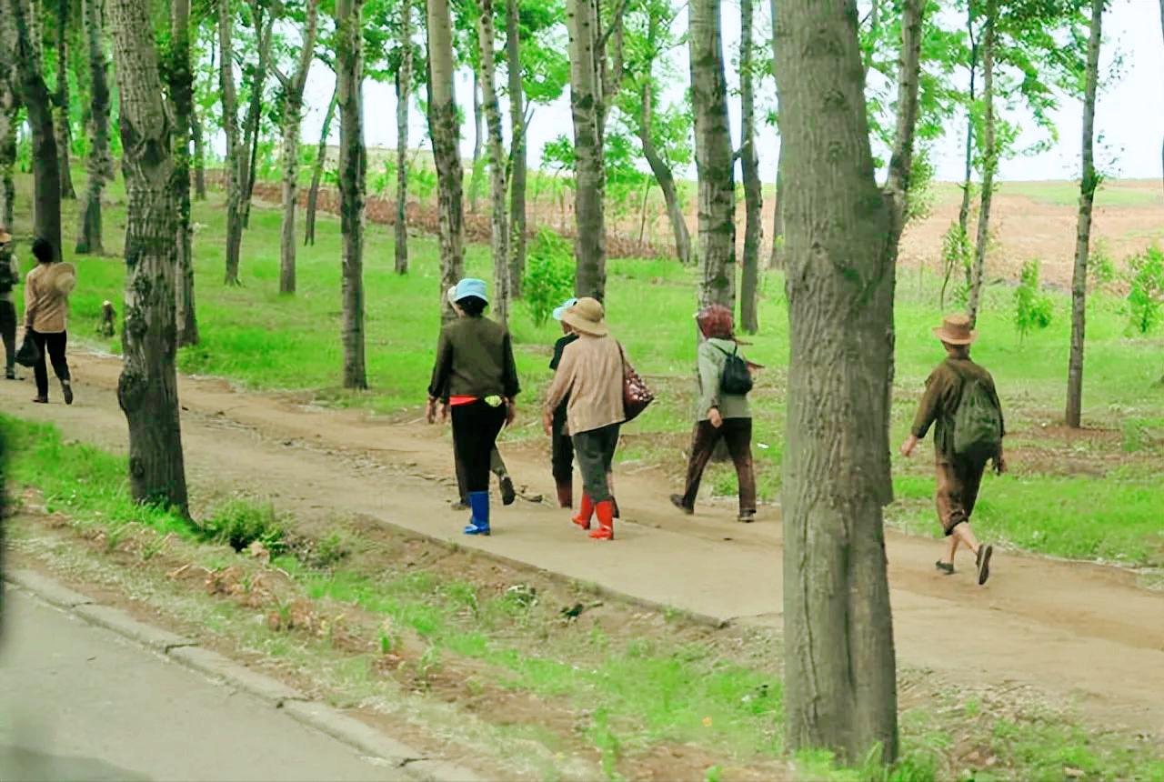 鑸瑰埌鏈濋矞鍗歌揣,鑸瑰埌鏈濋矞