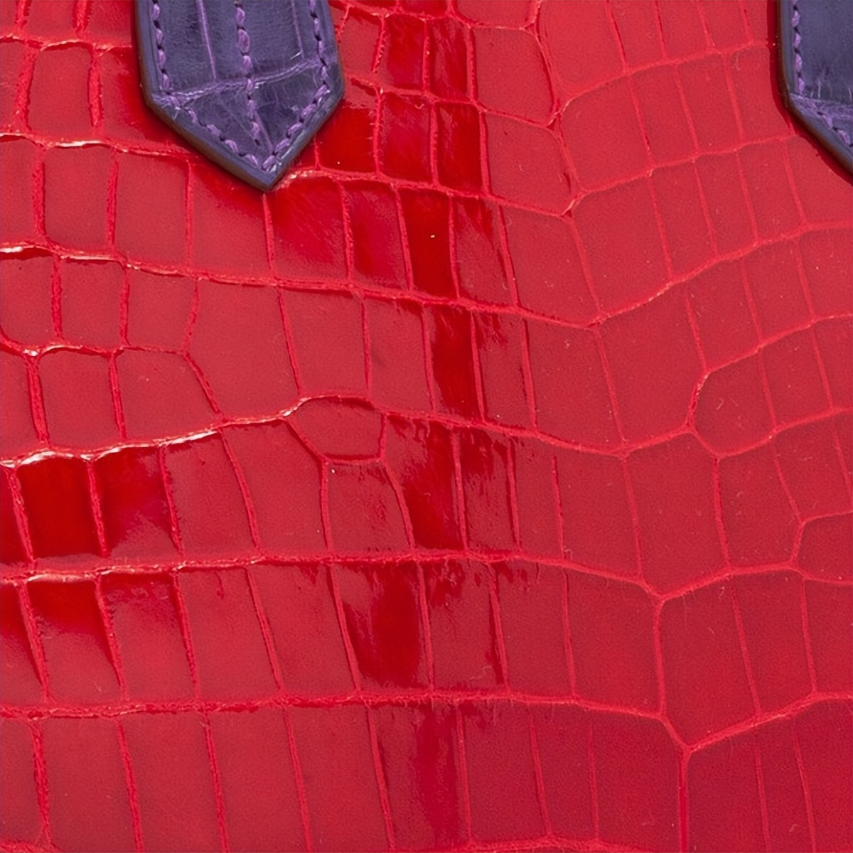 爱马仕皮革是怎么取材,爱马仕品牌小知识