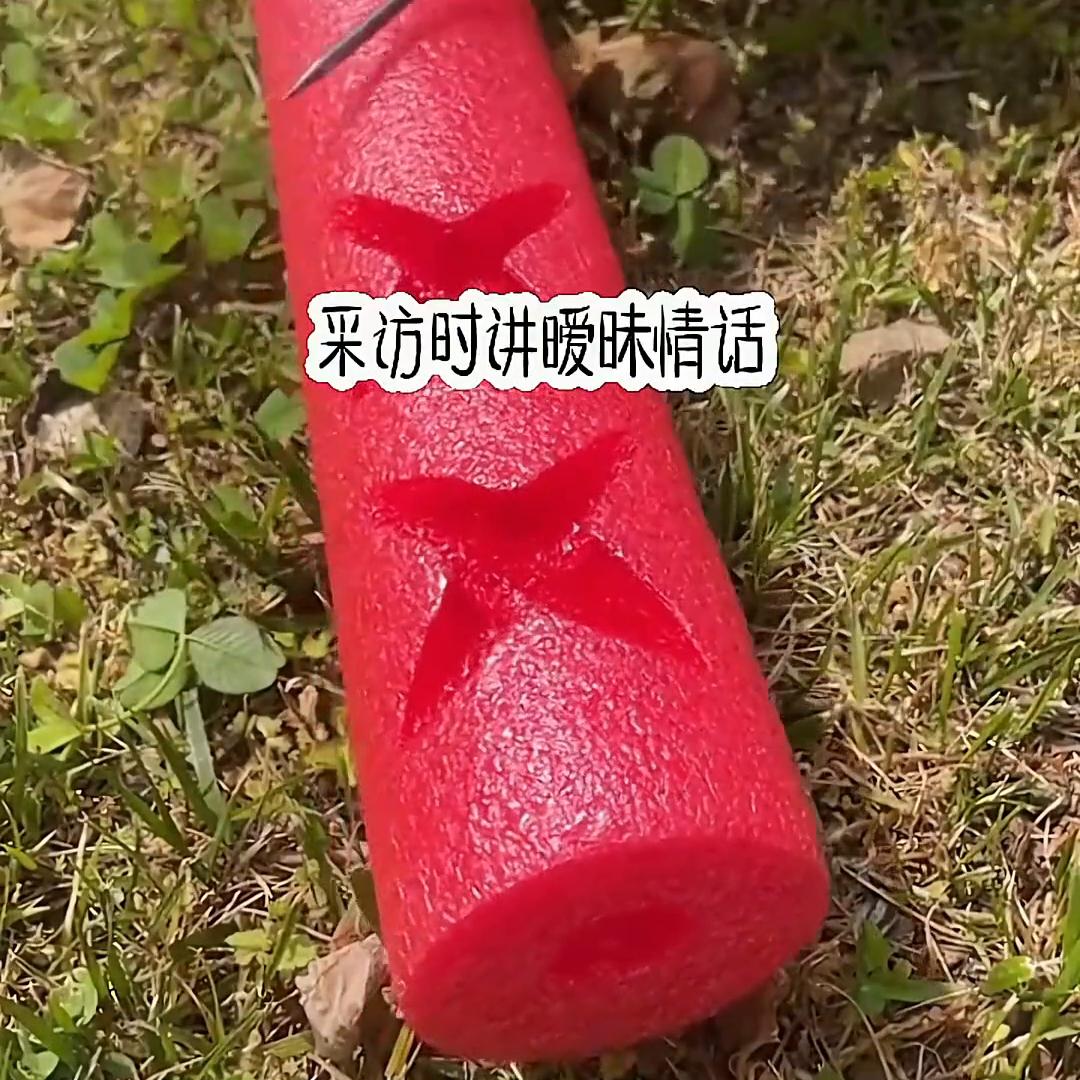 佳音莫迟后续,佳音莫迟周韶光后续