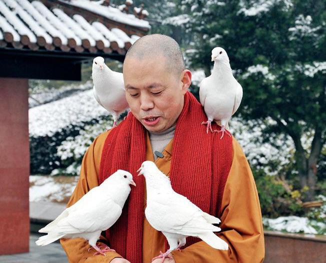 延参法师被猴耍的搞笑视频,延参法师淡定斗猴系列视频