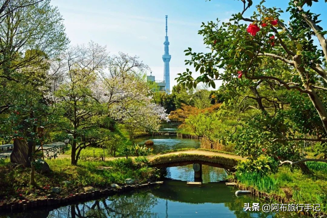 东京天空树和浅草寺,东京墨田区的景点