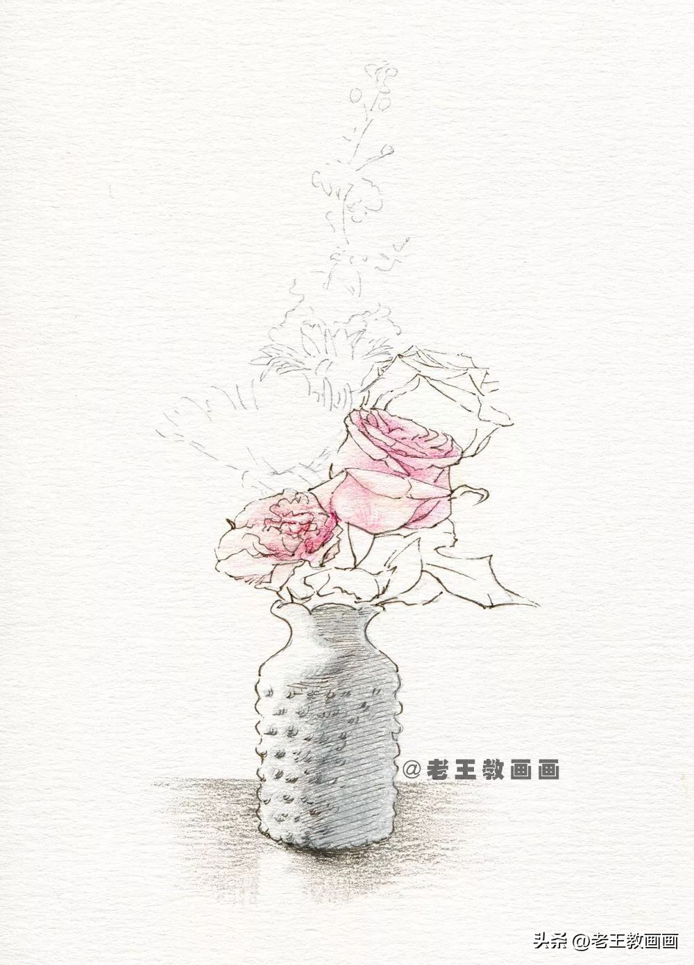 零基础也能学会的彩铅画画,零基础画彩铅画牡丹