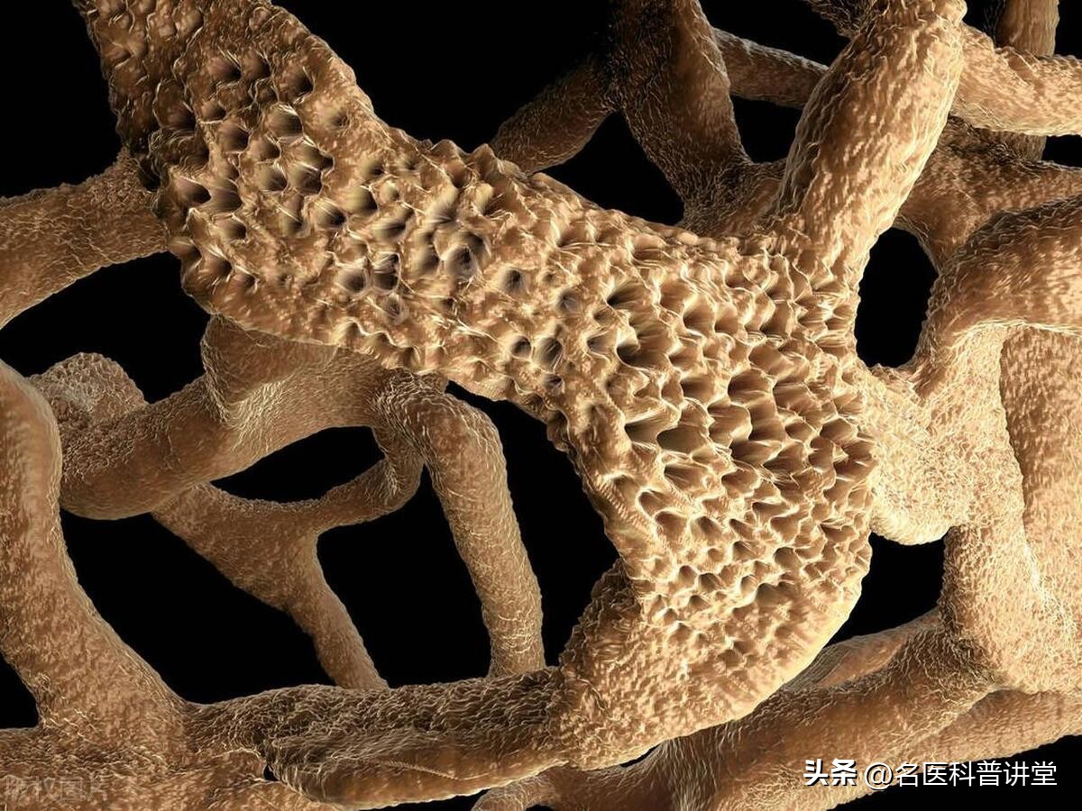 女人50岁后，这些体检每年都要做，关乎你的健康