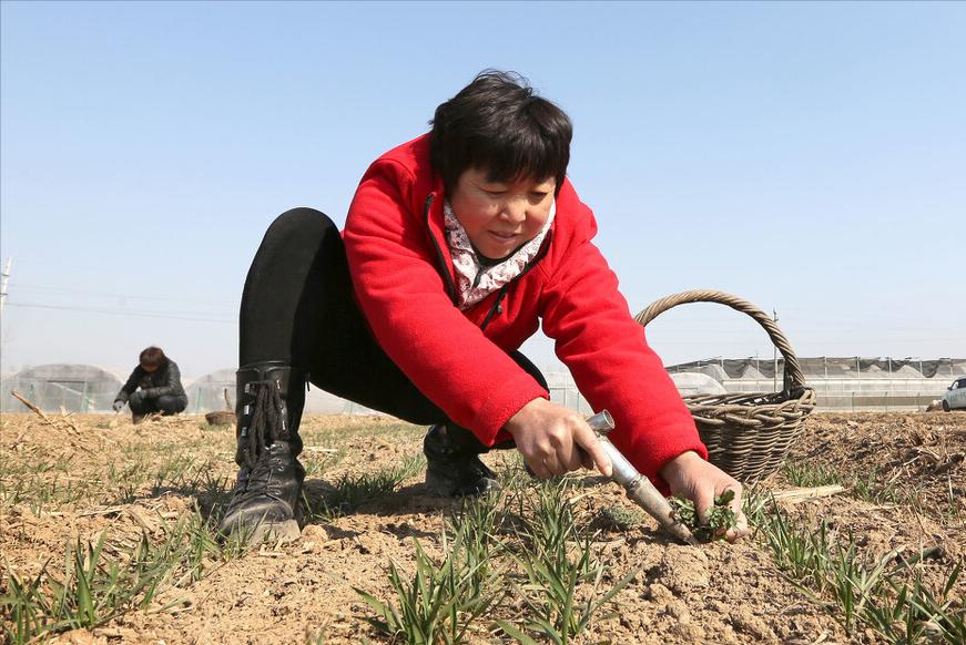 中国第一村华西村有别墅有豪车,天下第一村华西村有豪车别墅