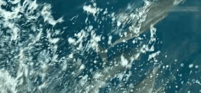 阿凡达2裸眼3d会成为现实吗,阿凡达2不如预期