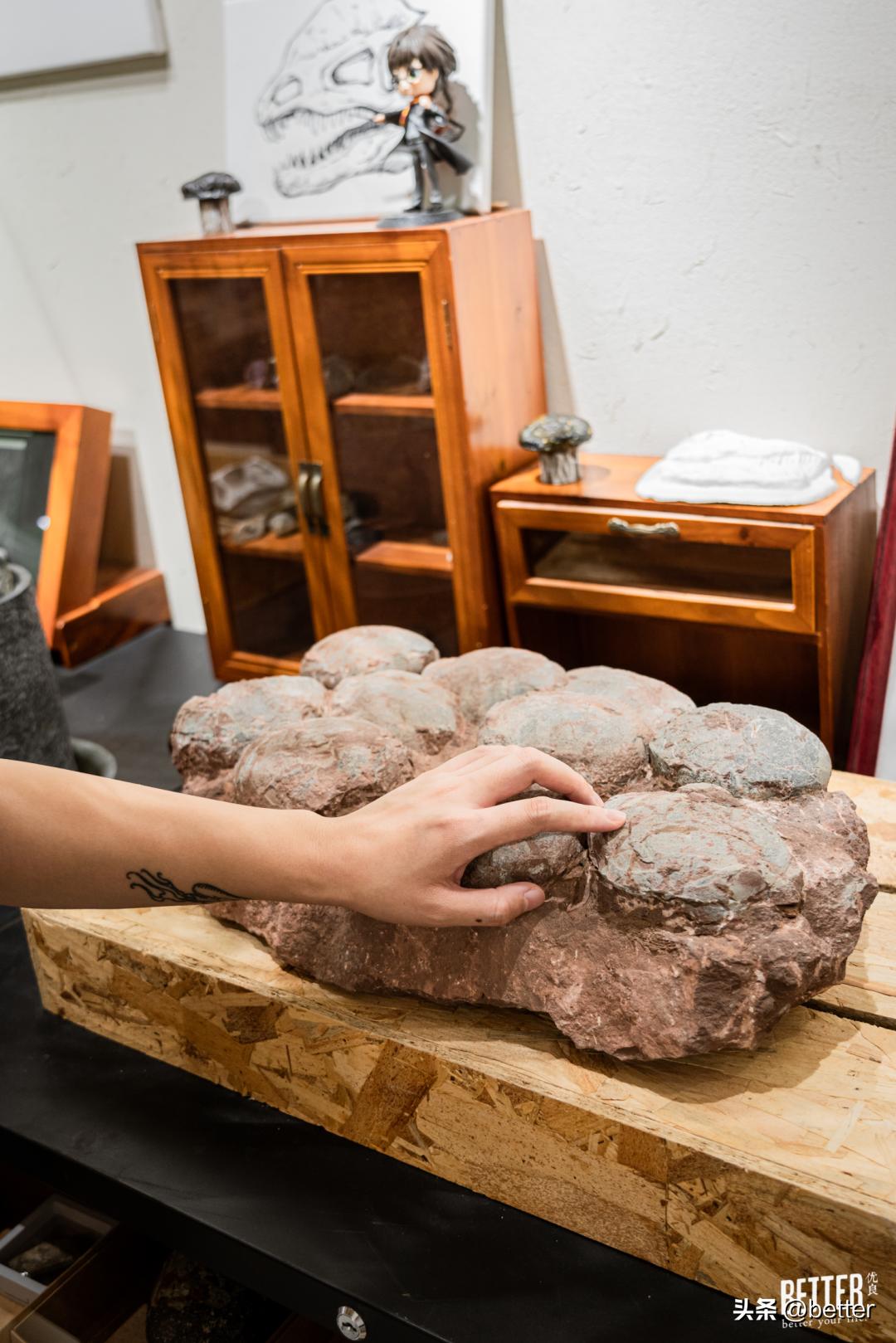 我在这家化石手作店，体验了一把「赌石」的快乐