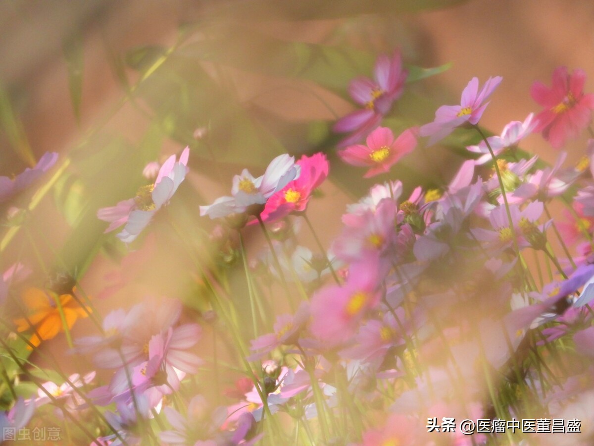 药房常用的中药别名,常用中药正名和别名对照表怎么背