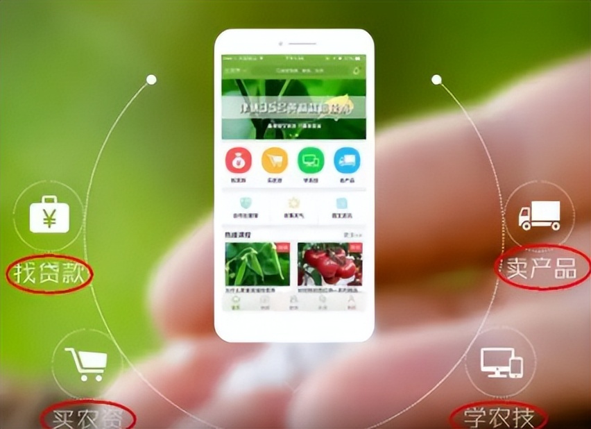 重庆蔬菜批发配送app平台,蔬菜配送app开发