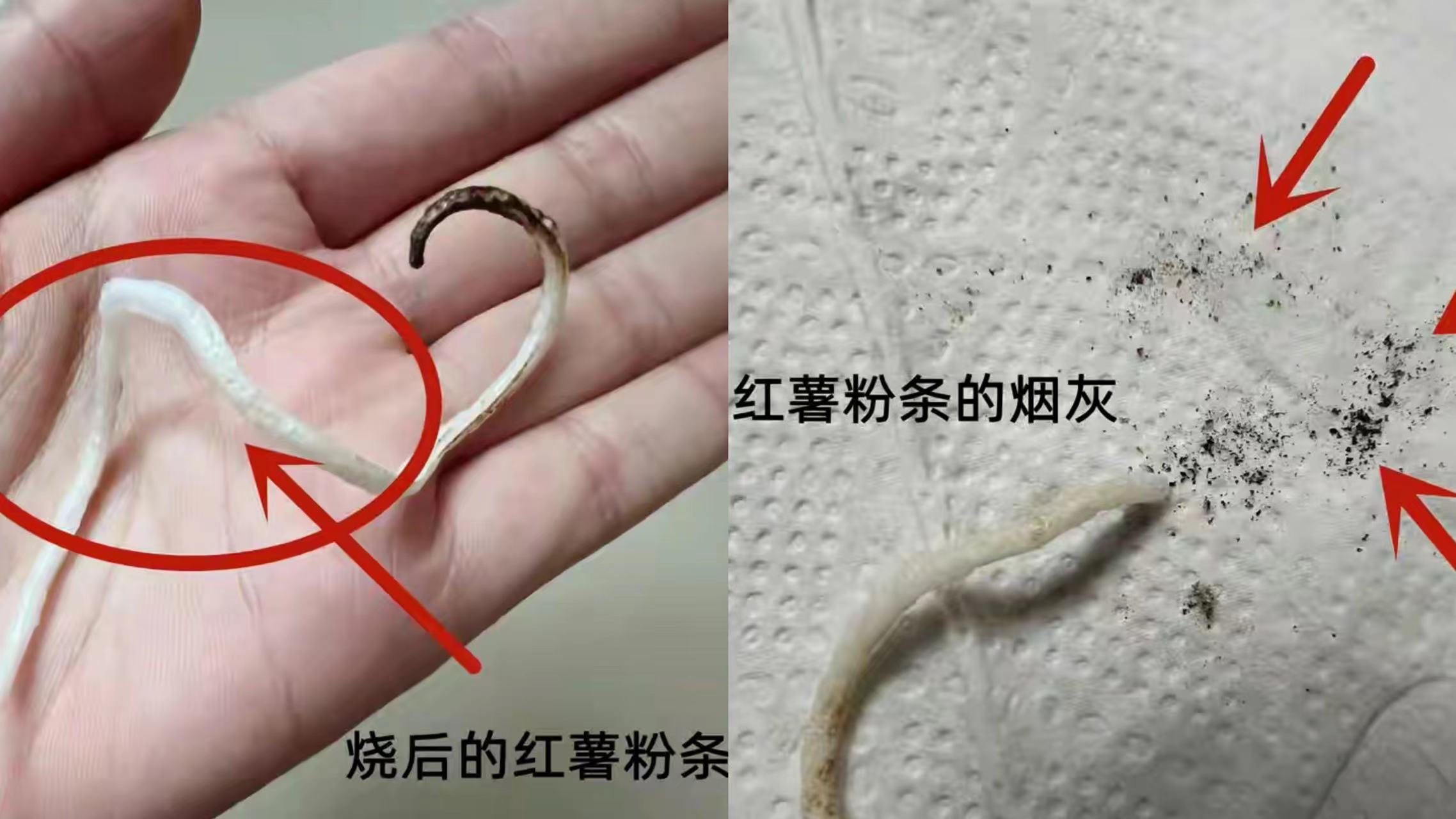 购买纯红薯粉条应注意几点,买粉条顺口溜