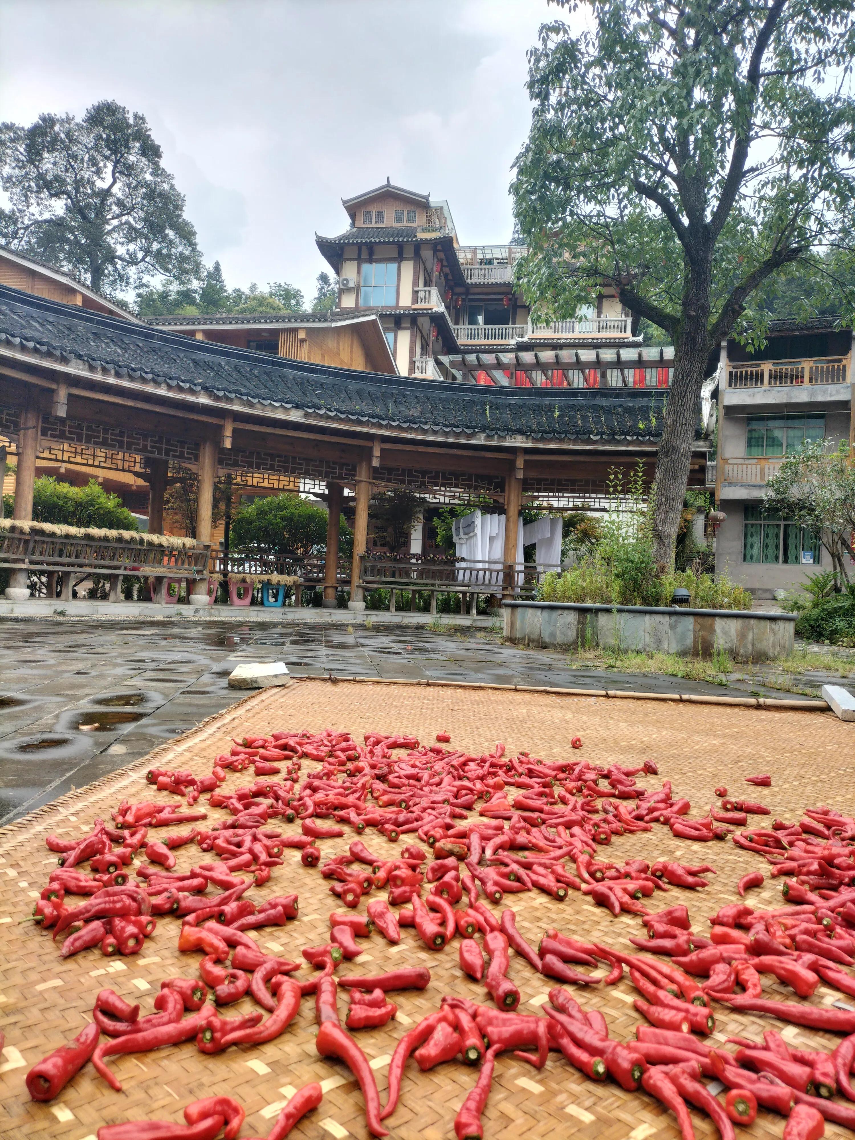 贵州的未来,贵州的未来有几个市