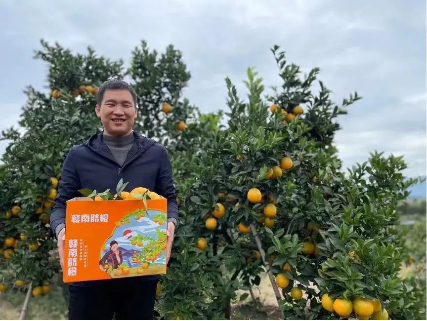 拼多多农业,拼多多农业扶持计划