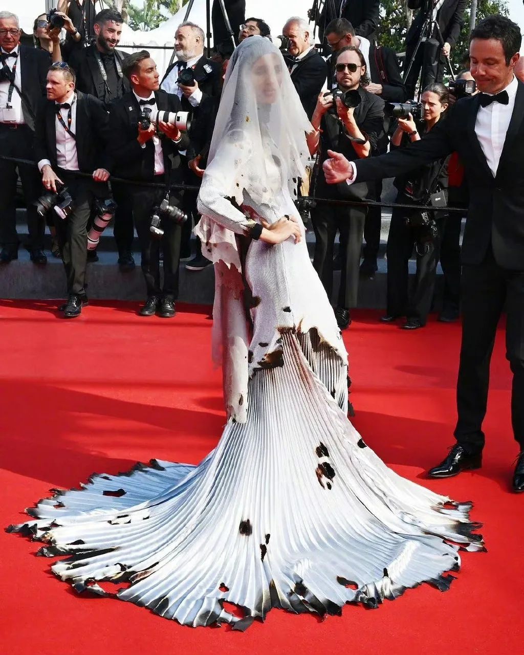 范冰冰为什么可以出现在戛纳红毯,范冰冰在戛纳让人吐槽的是什么