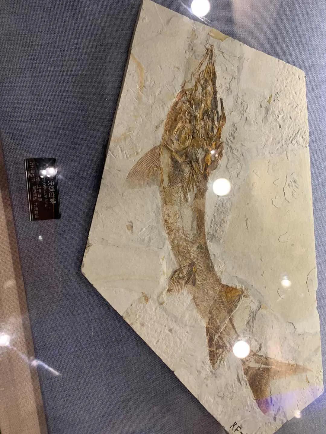 辽西自驾游一日游攻略,辽西自驾游一日游