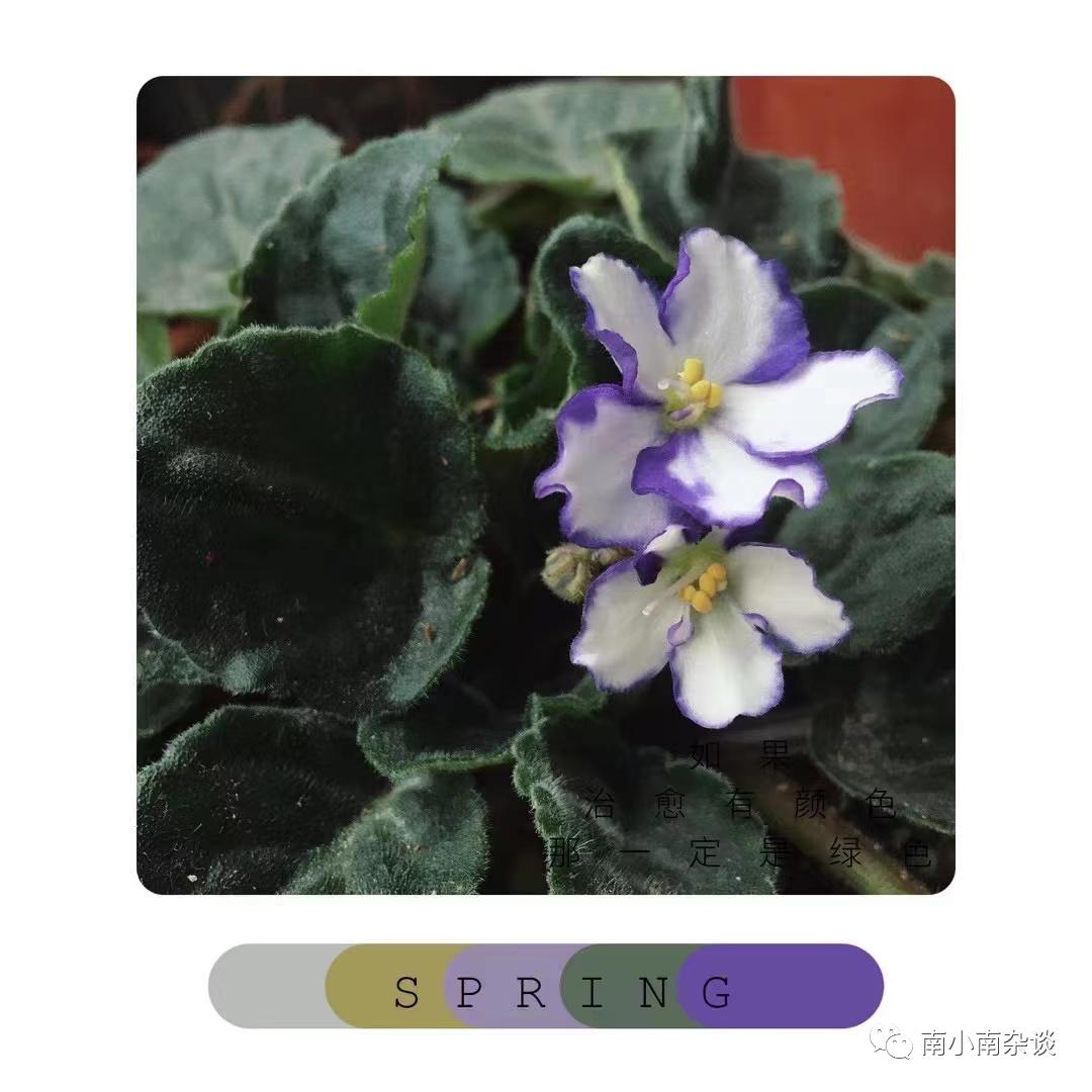 成年人的生活仪式感都是自己给的,生活需要仪式感矫情一下又老一岁