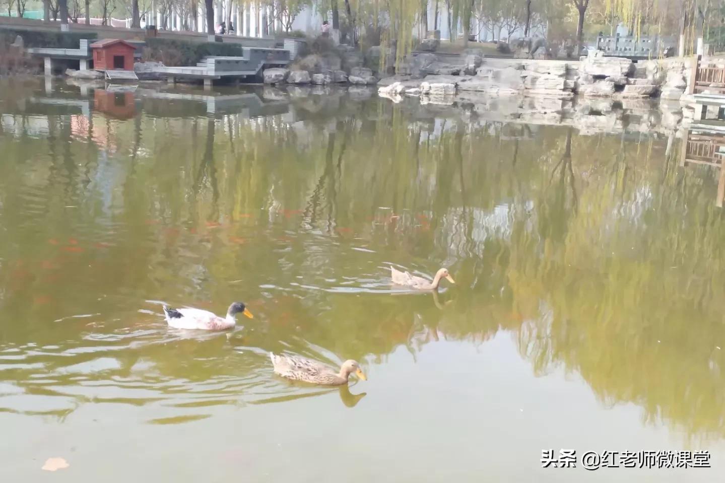 作文有一束光照亮我的世界600字,那一束光照亮我的世界作文600字