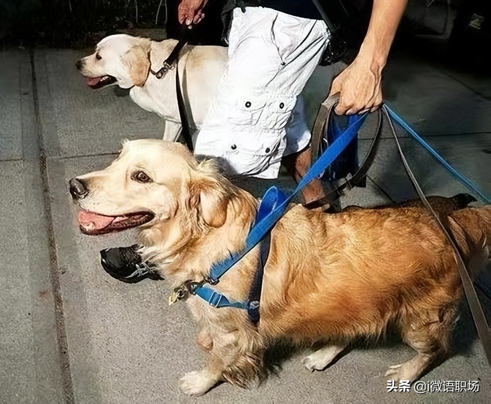 你真的不能再穷下去了：4个下班后就能赚钱的方法，提升你的收入