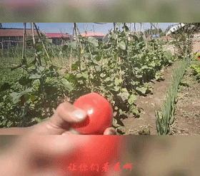 朋友圈高质量装x的图片,朋友圈装x图片