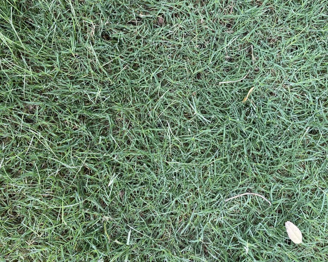 金地交房视频真实记录,金地楼盘验房