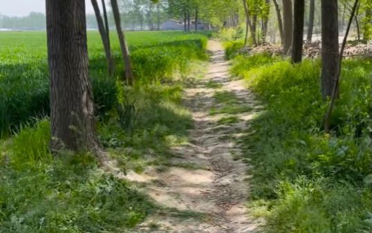 记忆中的岁月,把当兵时美好的日子留在记忆里