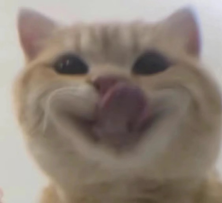 贩剑表情包评论区,贩剑表情包不回消息