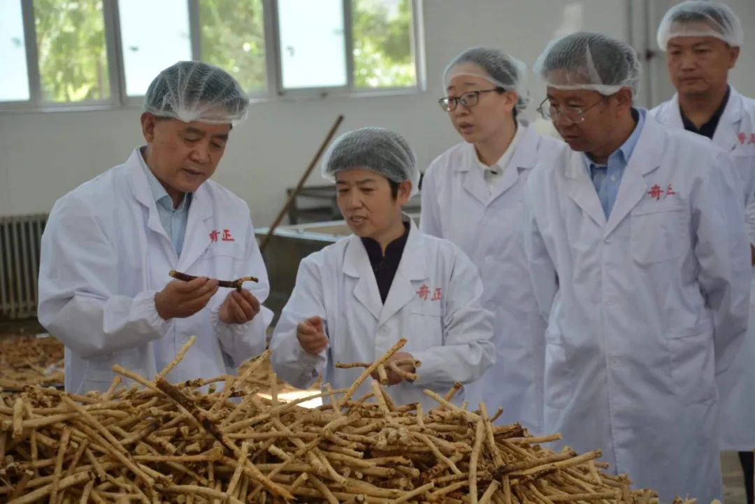 中药材价格普涨,为什么中药材价格持续大涨