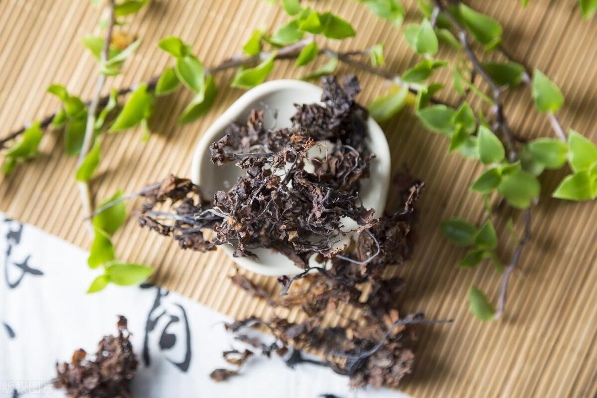 海藻（清化热痰药）