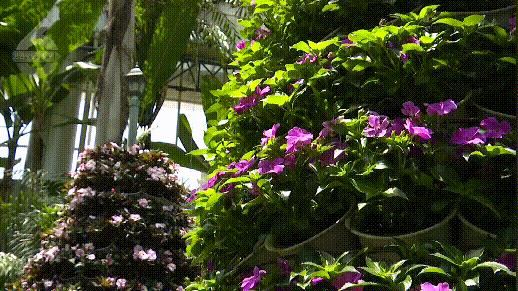 昆明植被覆盖情况,昆明市区植被覆盖率最高区域