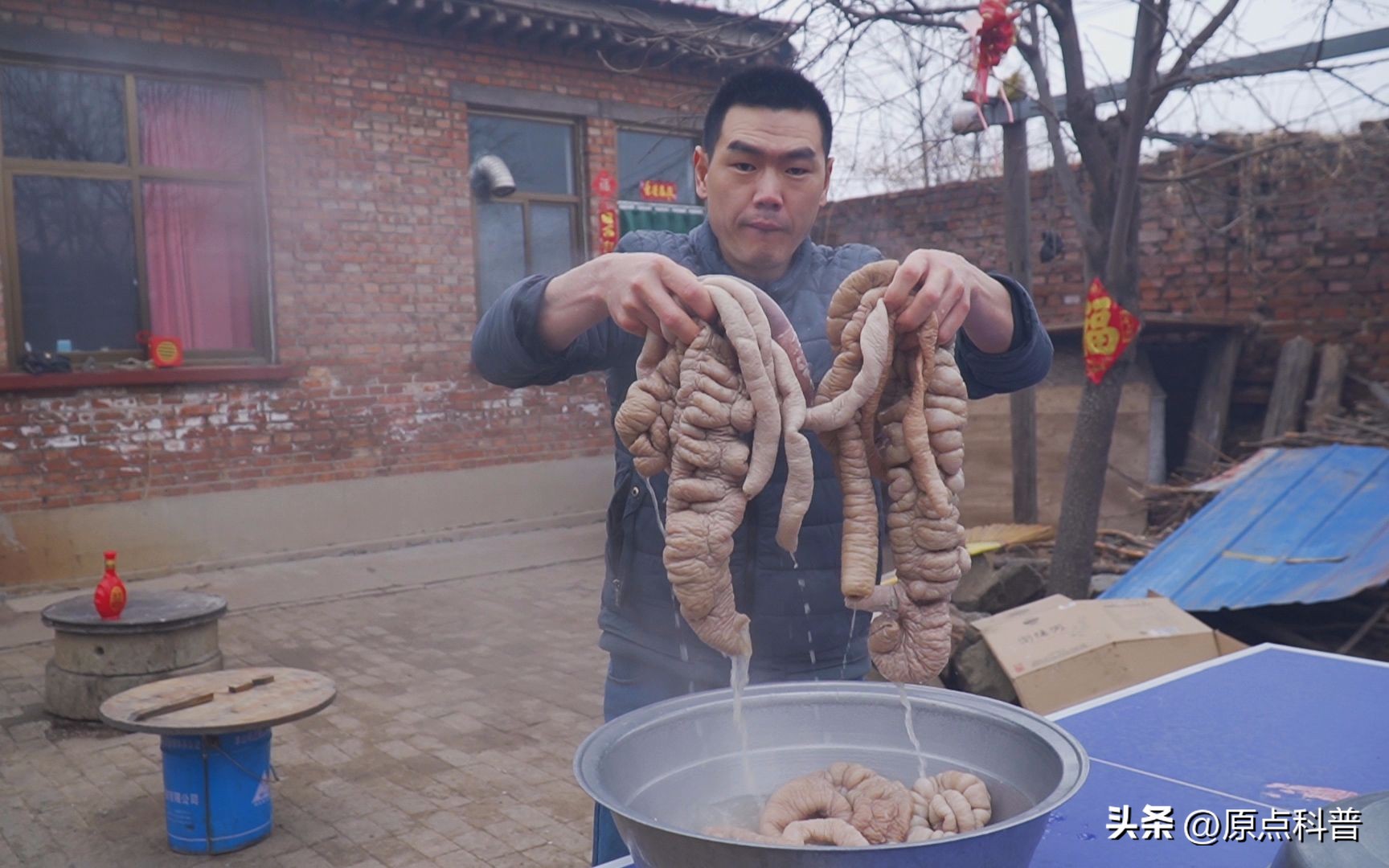 盘点外国人吃动物内脏,盘点人类不敢吃的七大外来物种