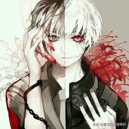 青岛西海岸豪宅出售,青岛别墅豪宅排名榜西海岸