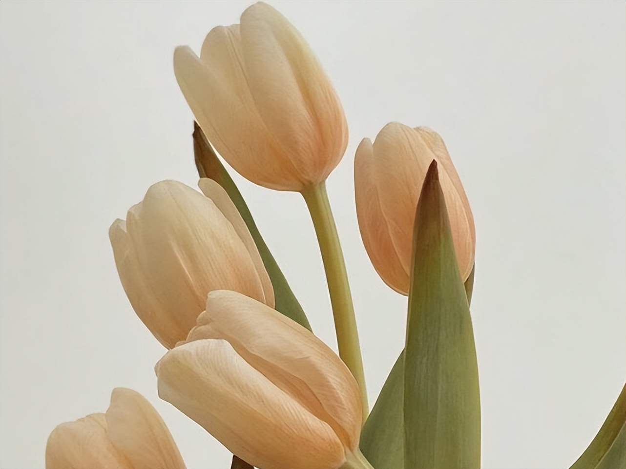 处女座能控制什么,处女座能驾驭巨蟹么